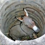 Motivational Story of Donkey in Hindi