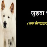 जुड़वाँ भाई