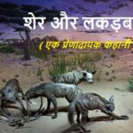 शेर और