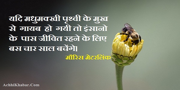 Environemnt Quotes in Hindi