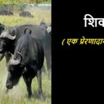 मुस्बित का सामान