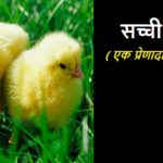 सच्ची मदद