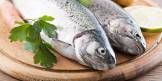 Salmon Fish Weight Loss Hindi