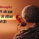 Ant Philosophy in Hindi
