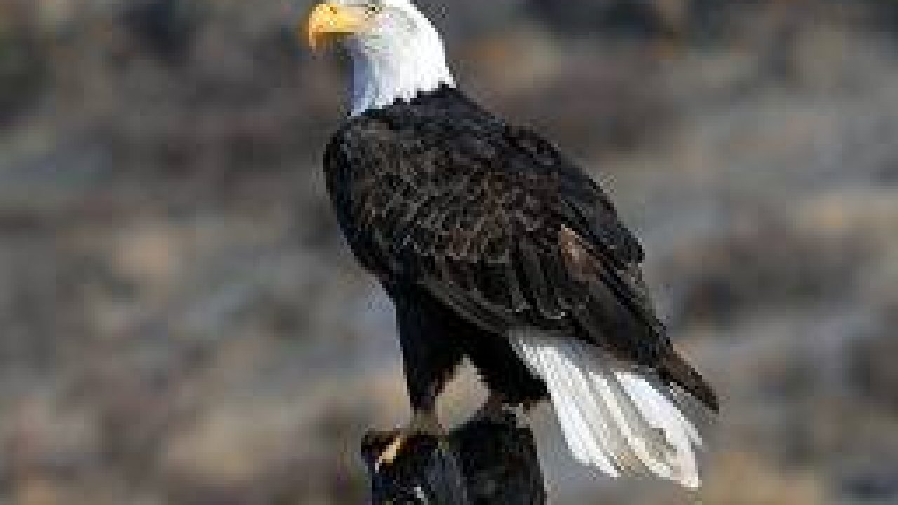 kuchh acchi acchi kahaniyan