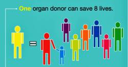 Blood and Organ Donation Slogans in Hindi