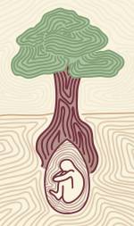 Hindi Essay on Importance of Trees