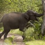 Hindi Story On Not Blindly Following Somebody अंधा अनुसरण