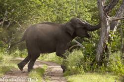 Hindi Story On Not Blindly Following Somebody अंधा अनुसरण