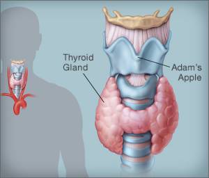 Thyroid Symptoms in Hindi