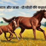 Hindi Story on Overcoming Obstacles -1
