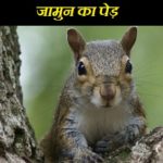 Hindi Story on Changing With Time