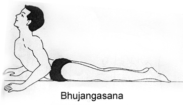 bhujangasana in Hindi