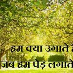 Hindi Poem on Trees